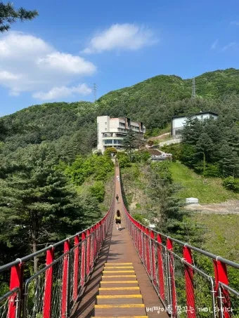 포천 가볼만한곳 맛집 카페 추천 절 현지인 코스_5