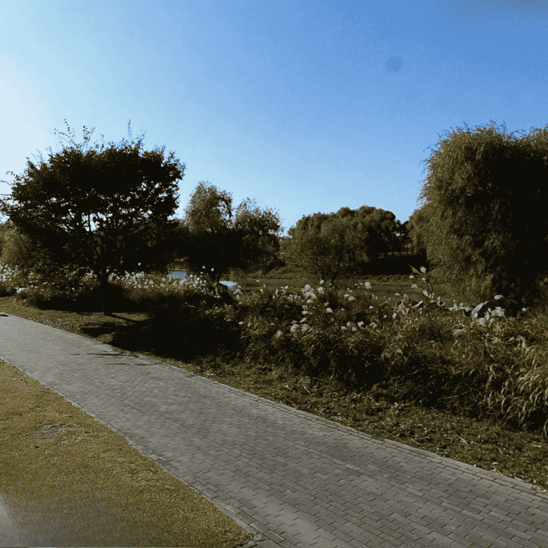 반포 한강공원 전경