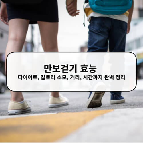 만보걷기 효능 다이어트, 칼로리 소모, 거리, 시간까지 완벽 정리