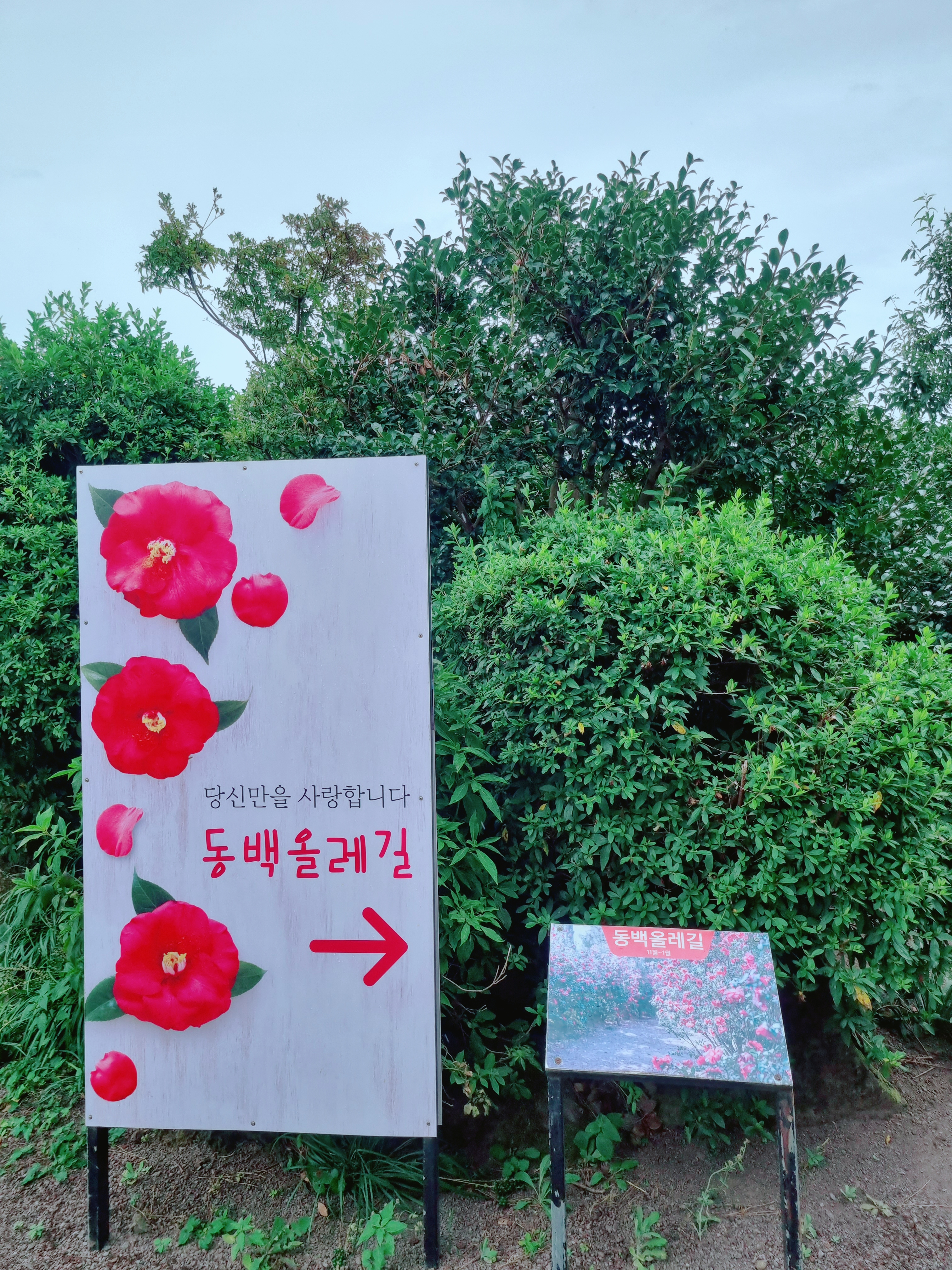 휴애리 자연생활공원