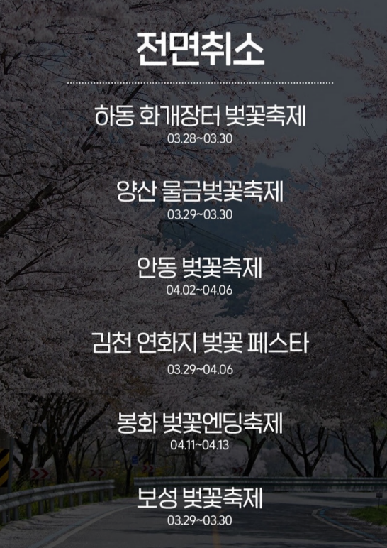 2025년 벚꽃축제 취소 및 축소운영 지역