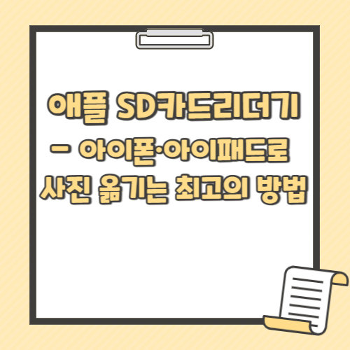 애플 SD카드 리더기｜아이폰·아이패드 사진 옮기는 최고의 방법 텍스트 썸네일
