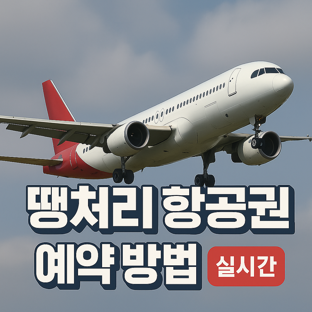 땡처리 항공권