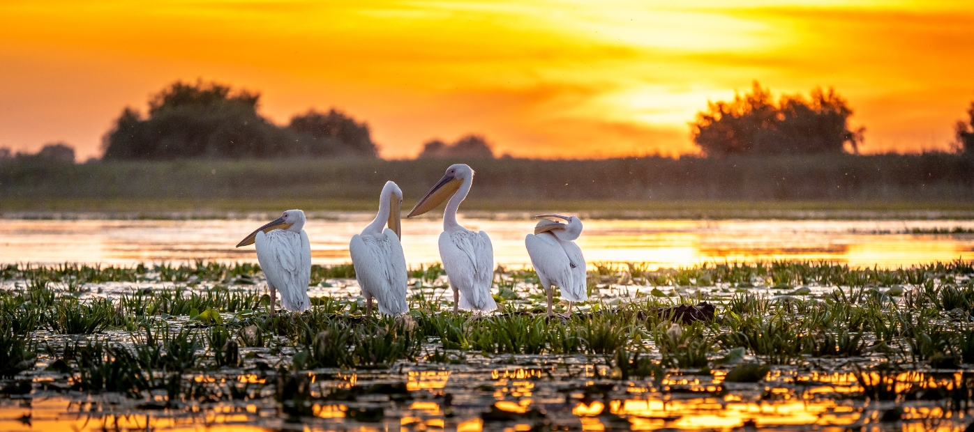 루마니아 여행 종합 가이드