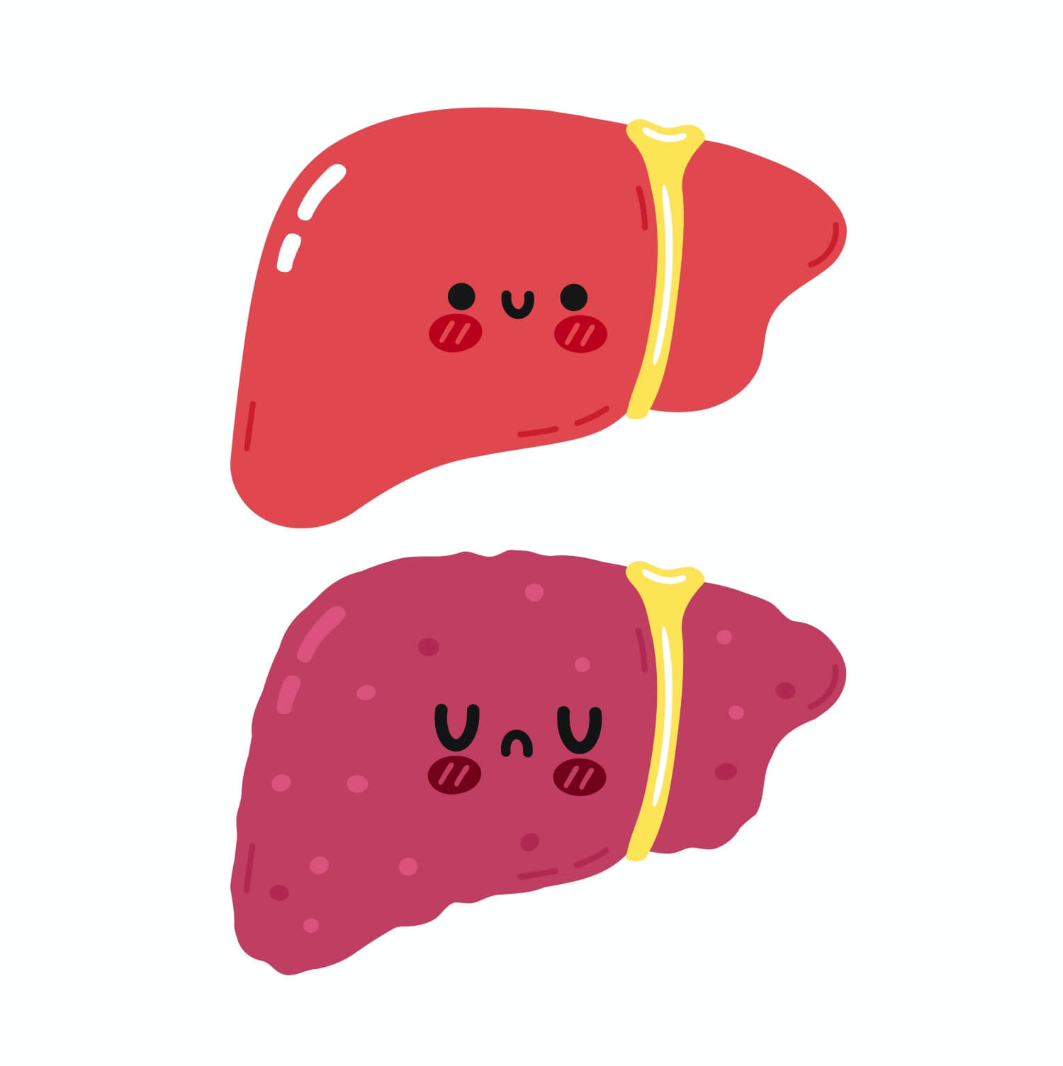 건강한-간과-그렇지-못한간