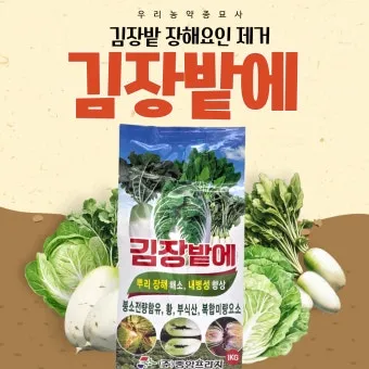 김장무 웃거름 주기 비료주는 시기와 방법을 안내_17