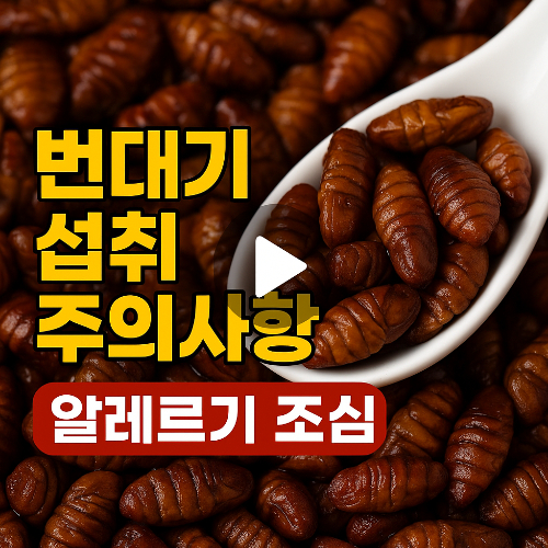 번데기 효능