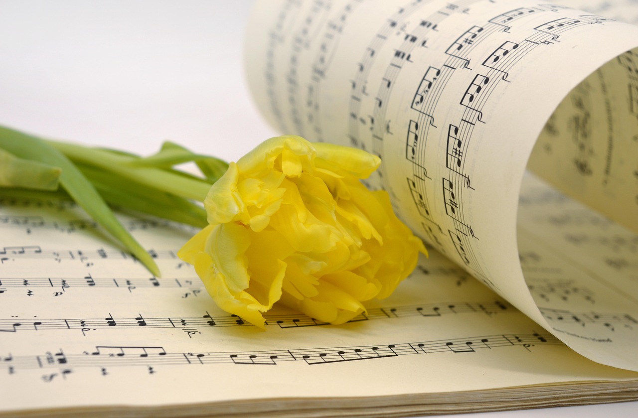 🎤 &ldquo;다시 부활할 수 있을까?&rdquo; MBC 대학가요제, 80~2000년대 감성의 부활 신호탄?