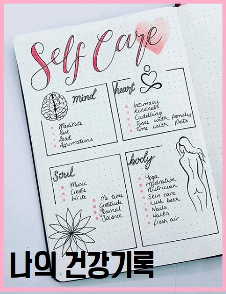나의 건강기록