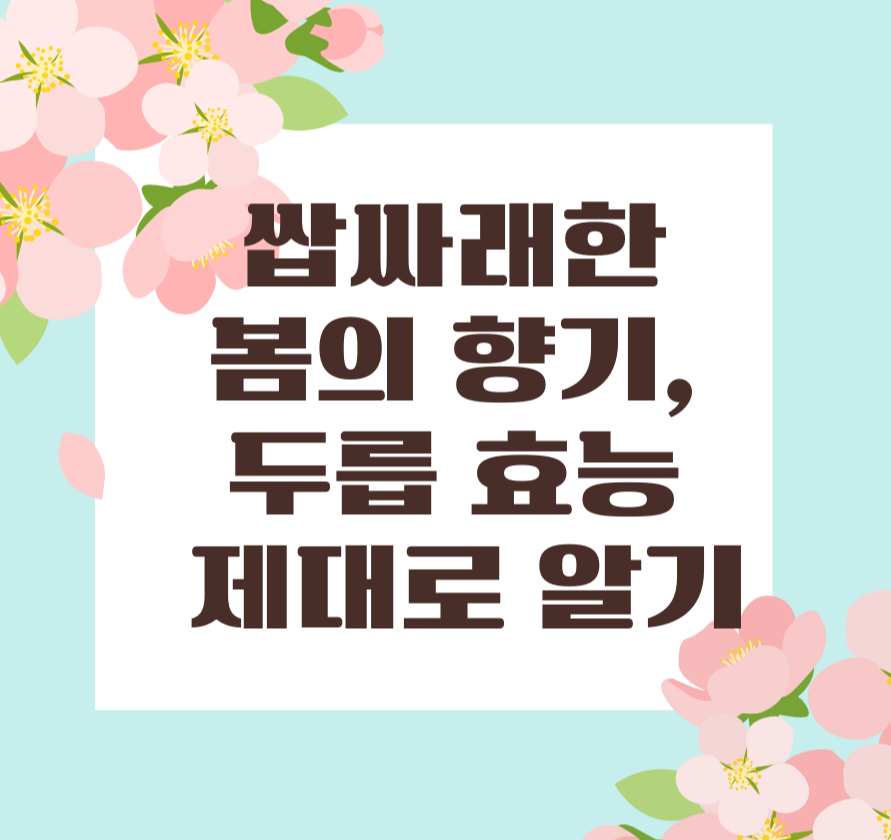쌉싸래한 봄의 향기, 두릅 효능 제대로 알기 제목 이미지l