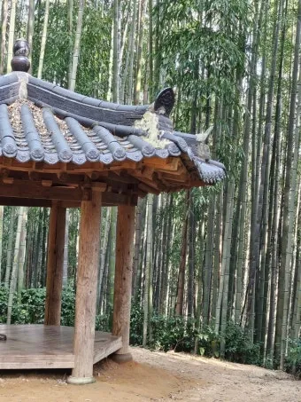 담양 죽녹원 소아르호텔 숙박 맛집_9