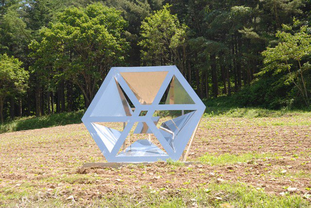 태백 해바라기축제