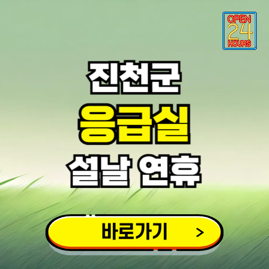 진천군 설날 연휴 비상진료 응급실 병원 찾기 ❘ 내근처 24시 야간 심야 휴일 가능한 곳