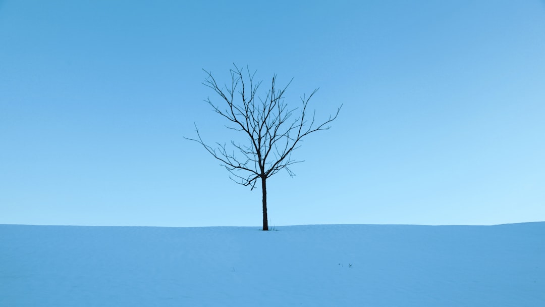 Minimalism