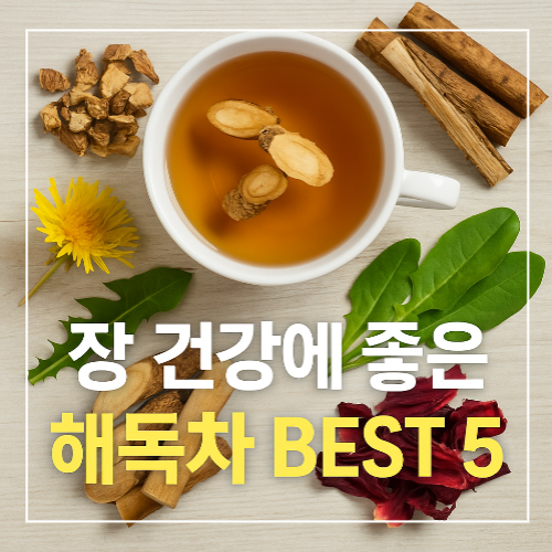 장 건강에 좋은 해독차 BEST5 썸네일 이미지