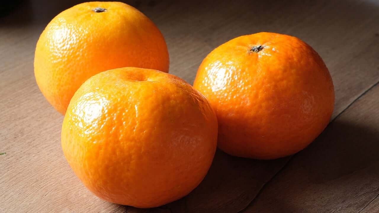 10월 제철음식 귤