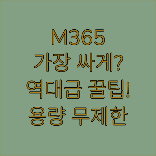 실시간 협업부터 대용량 저장소까지 M..