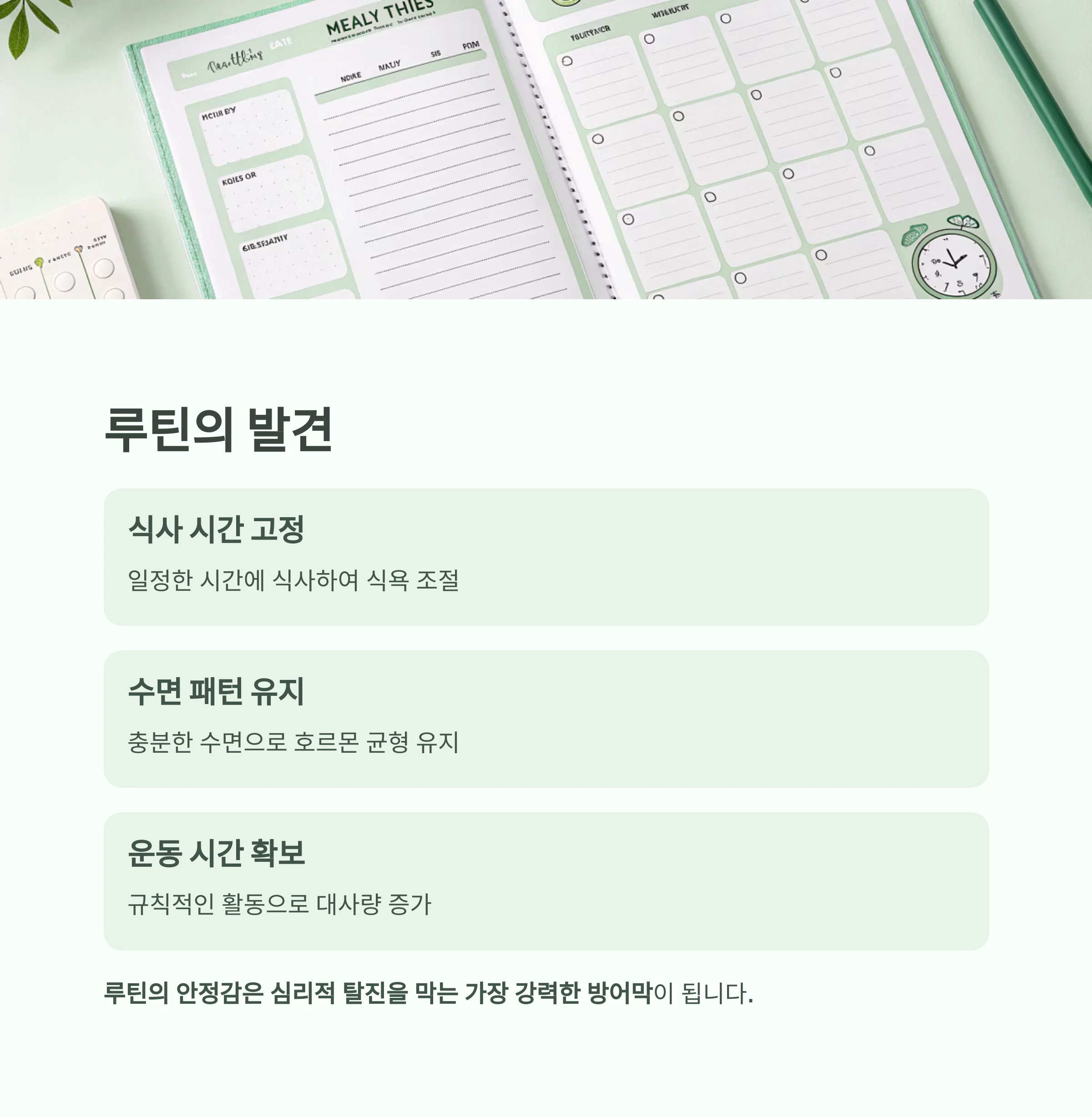 요요없는다이어트