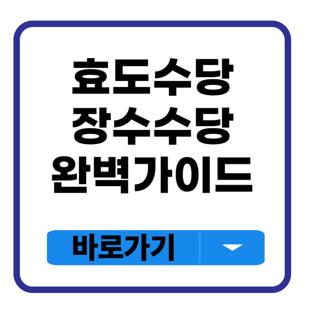 효도수당 장수수당