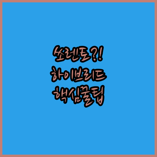 가족을 위한 종합 이동 솔루션, 쏘렌..