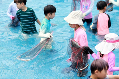 삼길포우럭축제