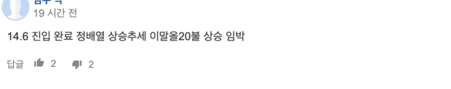 soxl 투자자 의견 2