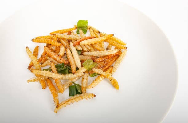 곤충 섭취가 대사증후군 예방에 미치는 영향