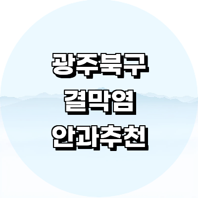 광주 북구 안과