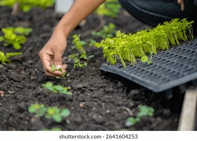 파종 도구 선택 파종기 호미 삽 흙손 사용 팁_5