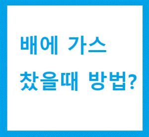 배에 가스 찼을때 방법의 글