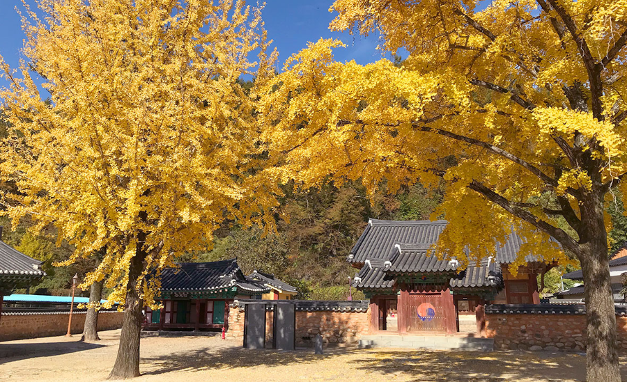 장수 가볼만한 곳