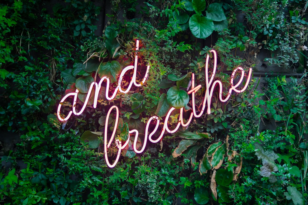Lungs