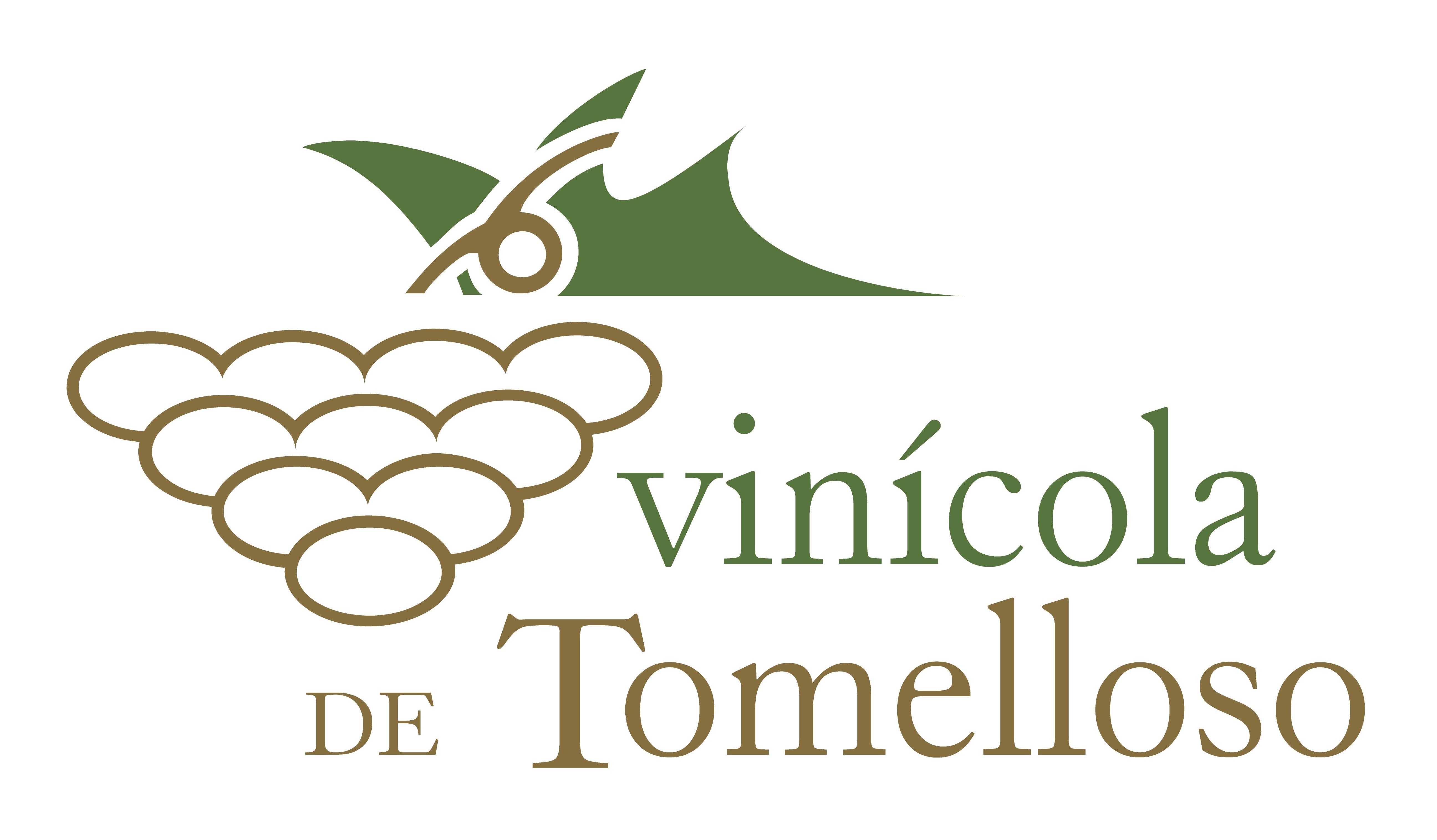 비니콜라 데 토멜로소