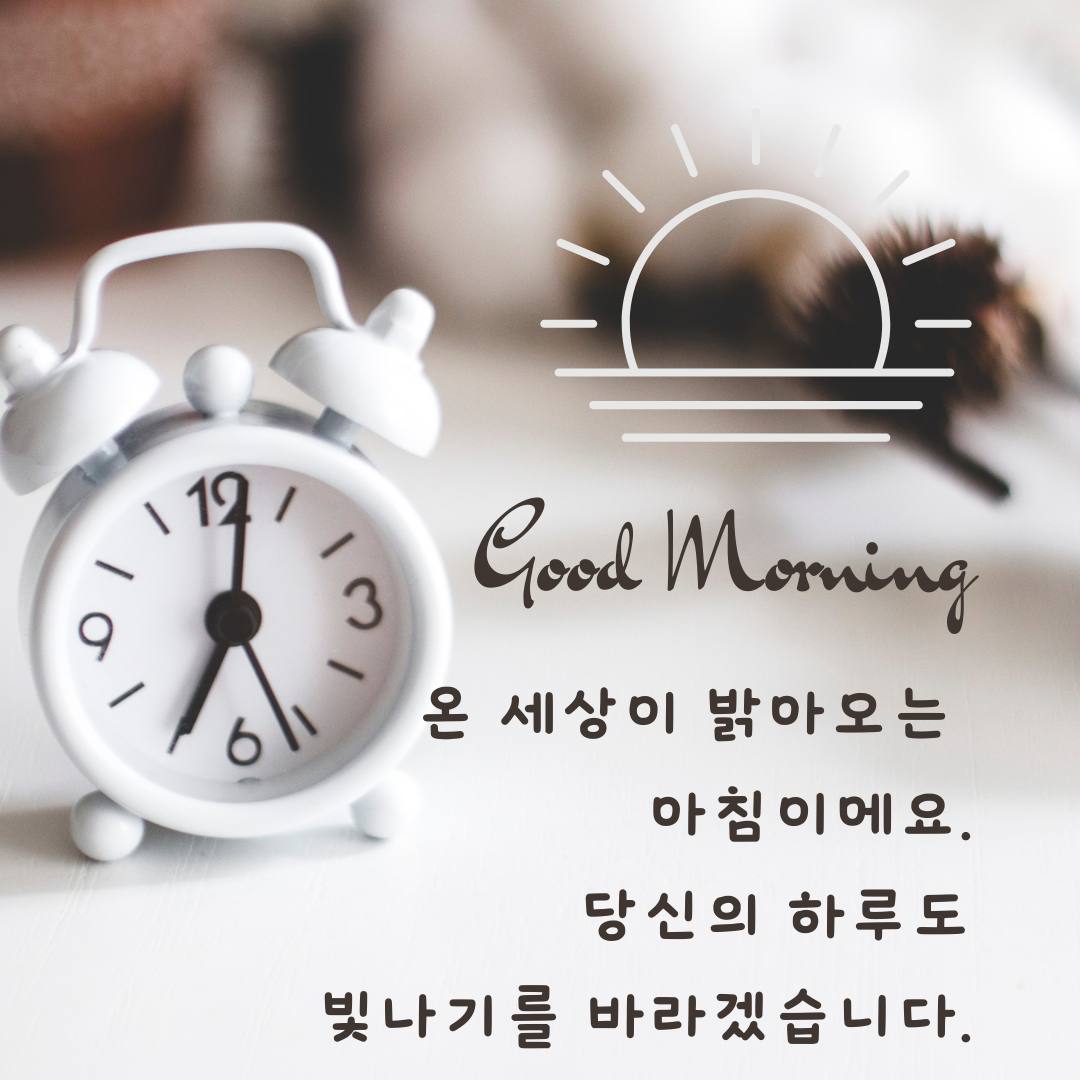 아침 인사로 좋은 글 모음 문구 이미지