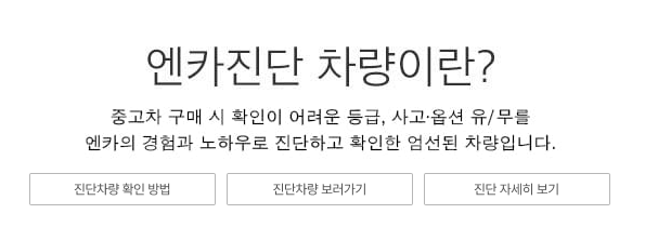 엔카 진단 차량