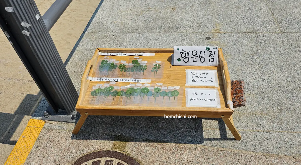 네잎크로버와 다섯잎크로바를 팔고 있는 행운상점 무인 가판대