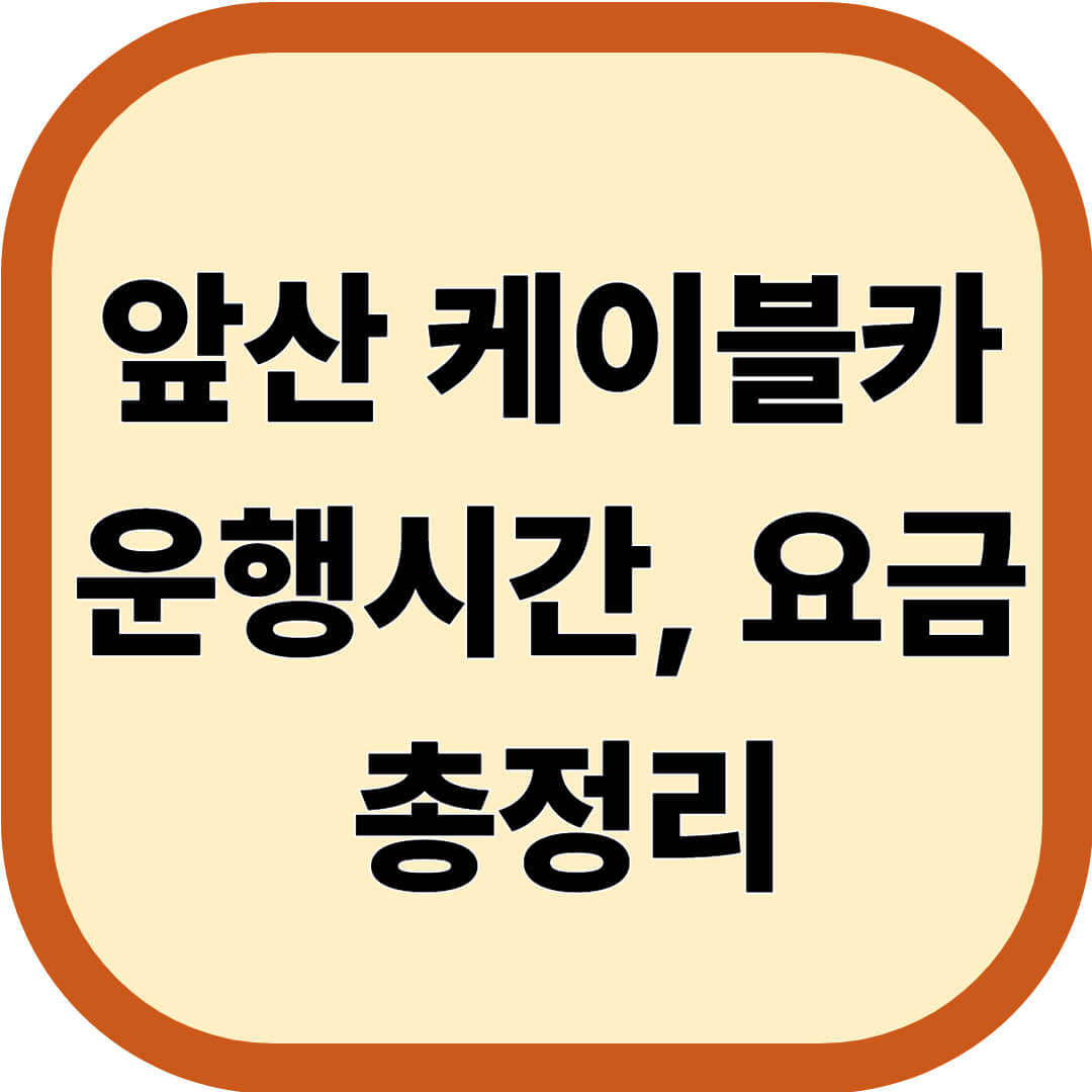 앞산 케이블카 운행시간, 요금 총정리