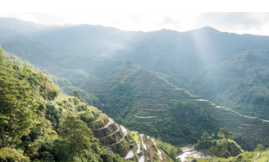 [1-2월 필리핀 세부 막탄 클락 여행준비물] 날씨 해외로밍 (2025최신)