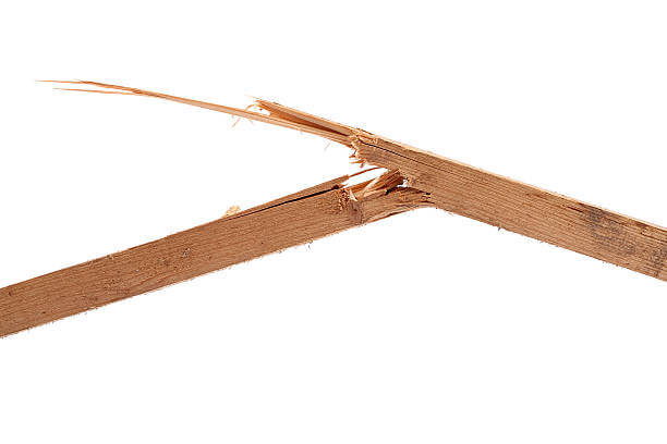 외부의 힘으로 부러지는 나무 사진