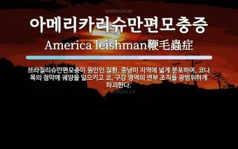 수원수구 뜻 유래 자기반성 의미_25