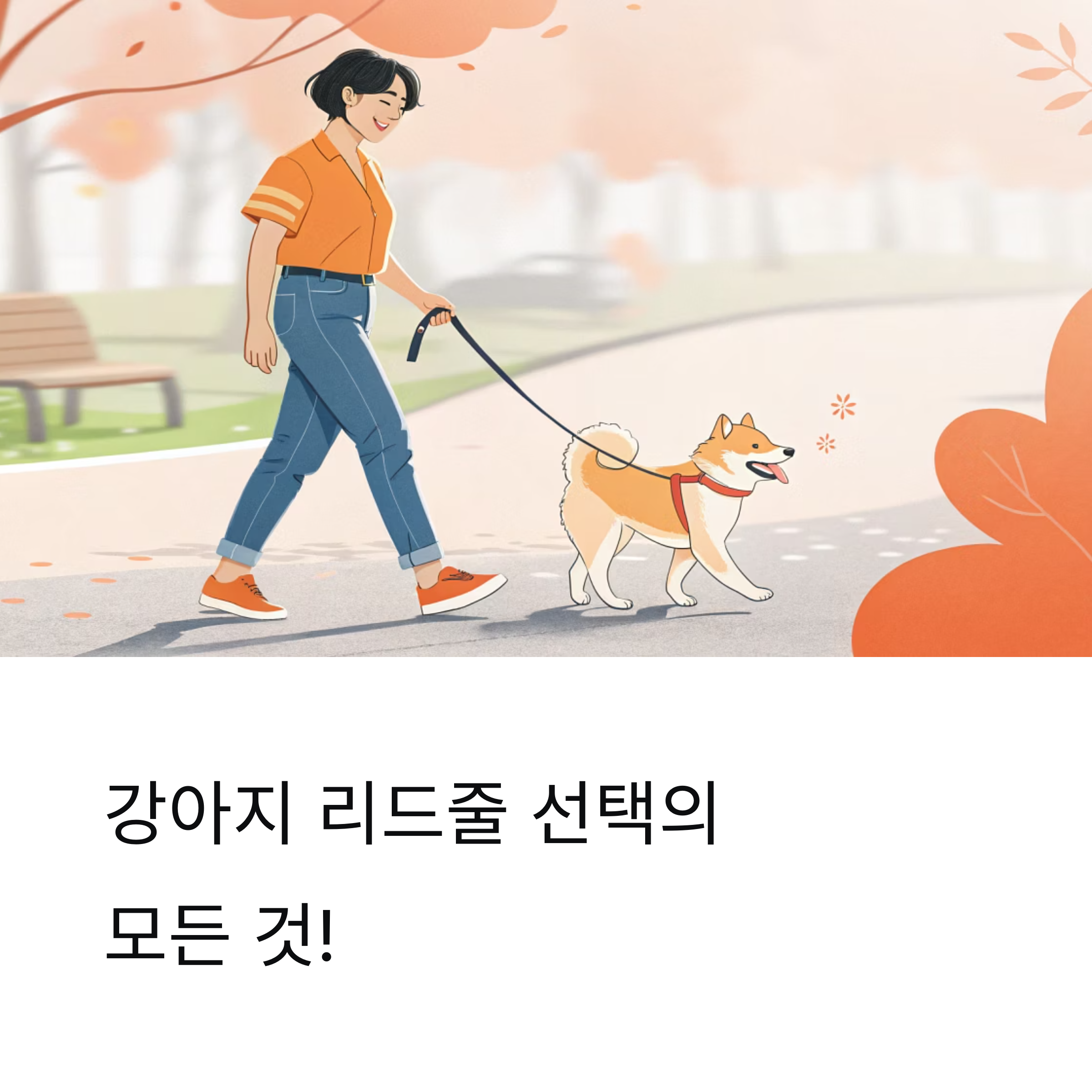 강아지 리드줄 고르는 완벽 가이드