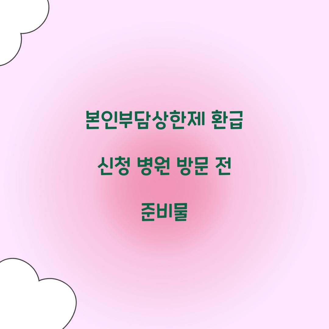 본인부담상한제 환급 신청 병원 방문 전 준비물