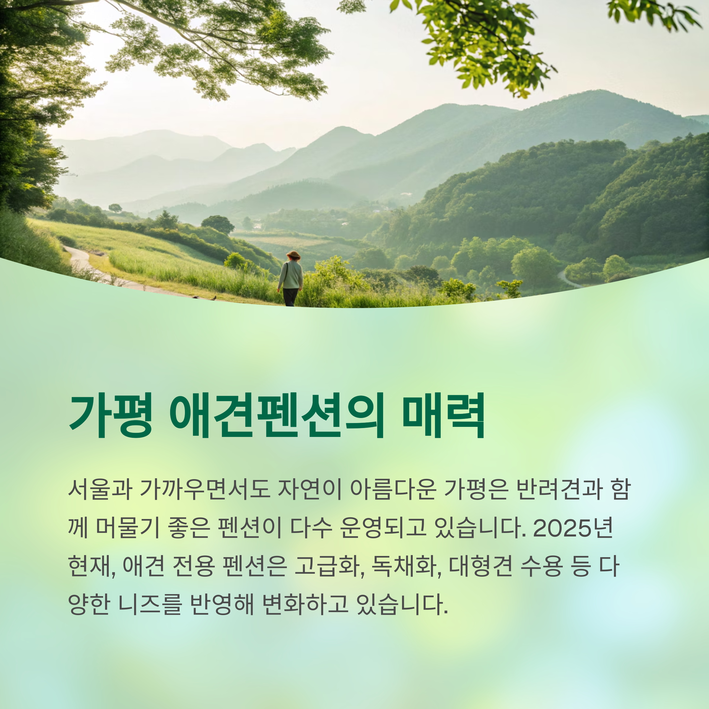 가평 애견펜션의 매력