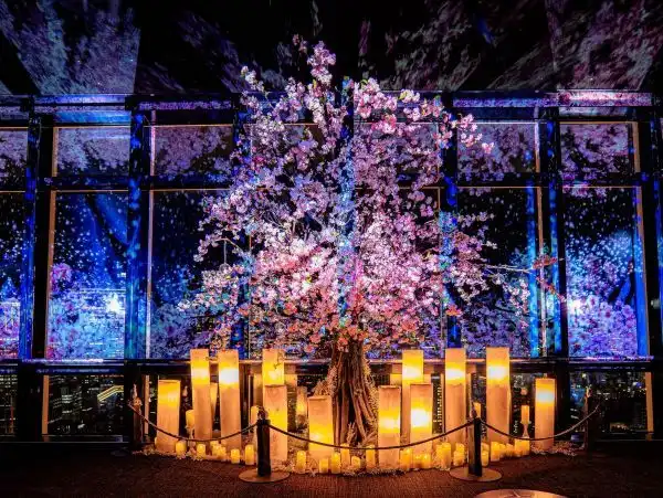 네이키드×도쿄타워 CITY LIGHT FANTASIA Spring Concerto 2025(시바공원)