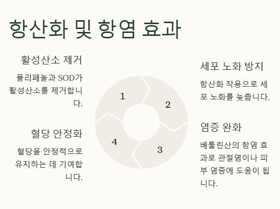 차가버섯의 주요 효능&amp;#44; 항산화 및 항염효과