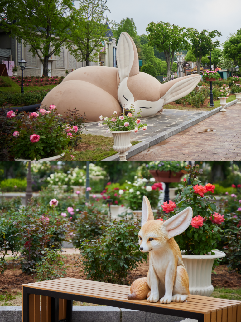 에버랜드 로로티 장미축제