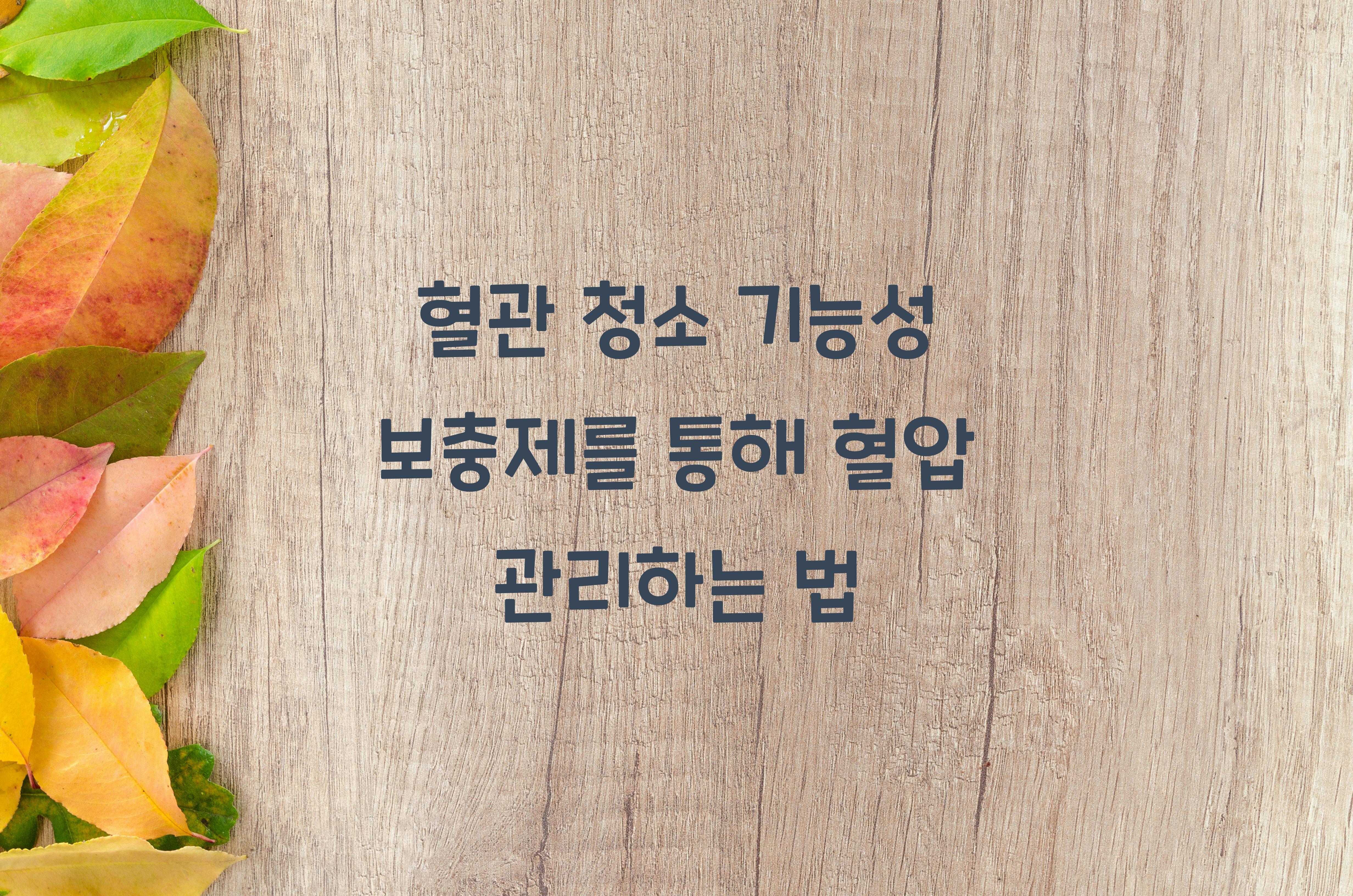 혈관 청소 기능성 보충제