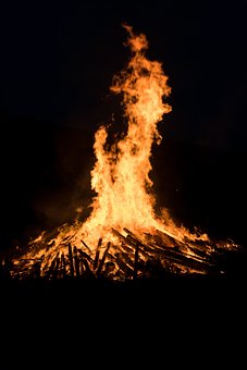 꽃 축제