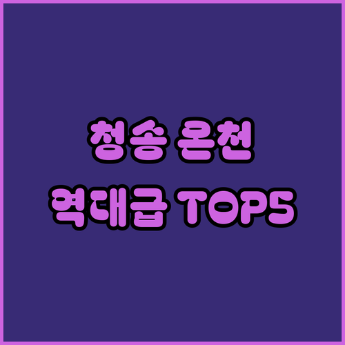 청송 온천 숙소 베스트 5 소노벨 주..