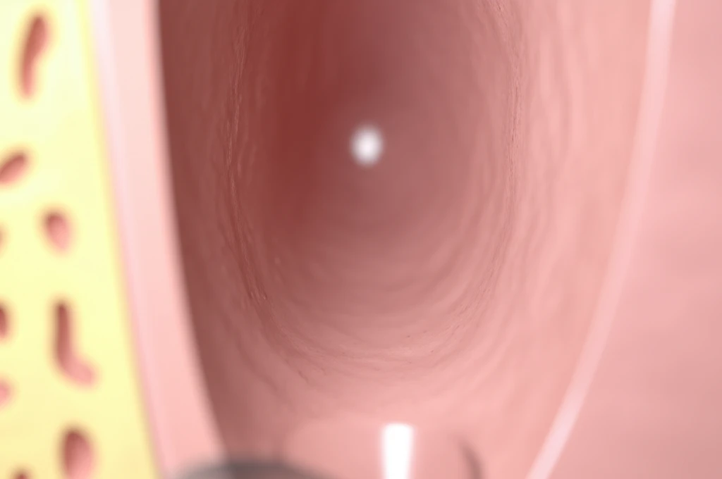 귀지 때문에 고생? 이비인후과 전문의